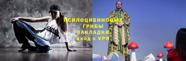 ГАЛЛЮЦИНОГЕННЫЕ ГРИБЫ Абинск